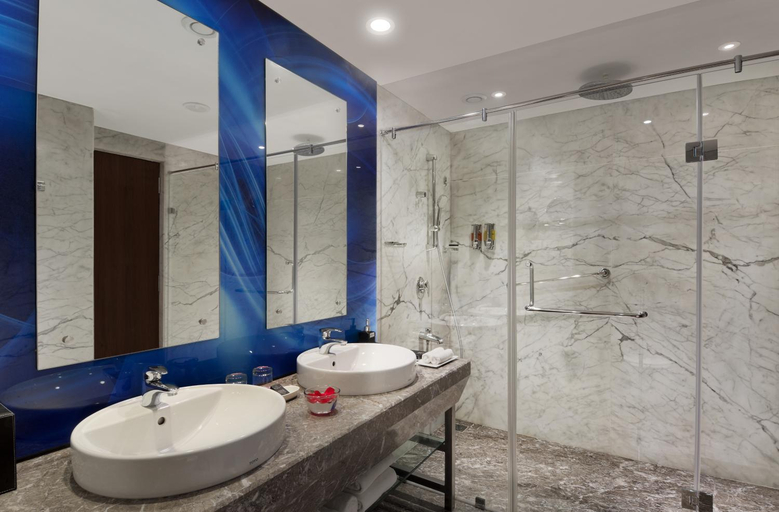 Bathroom 4, The Elanza Hotel, Bangalore