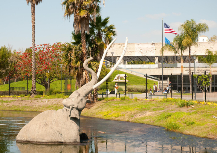 Nearby Landmark 5, Southwest Stay, Los Angeles