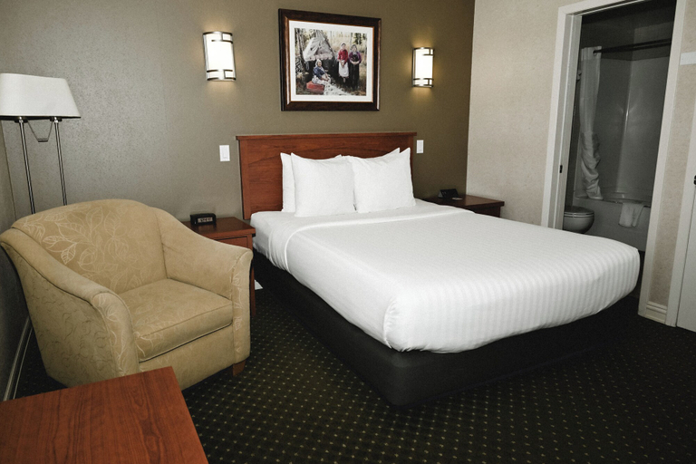 Bedroom 4, Quality Hotel & Conference Centre, Division No. 19