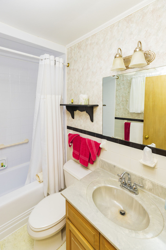 Bathroom 3, Azalea Garden Inn, Watauga
