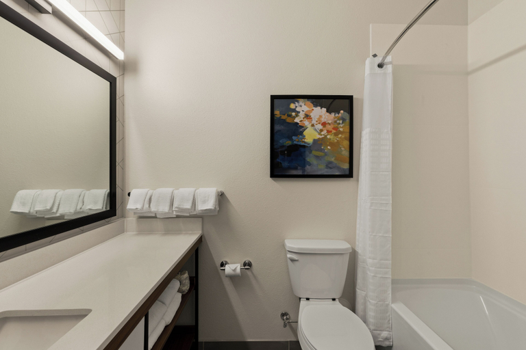 Bathroom 4, Everhome Suites Brownsville, Cameron