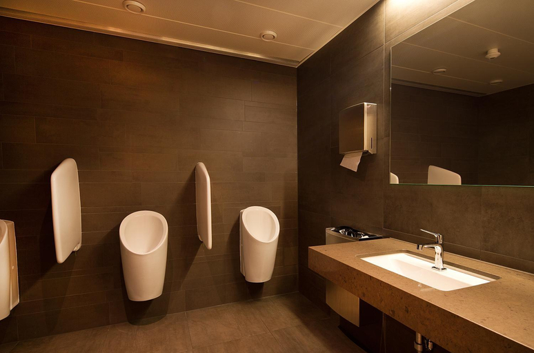 Bathroom 4, Hotel Glanis, Nyon