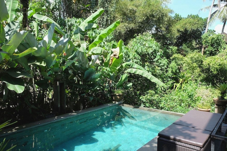 Sport & Beauty, Suastika Guest House, Gianyar
