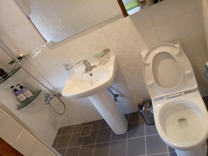 Bathroom 4, Hundred Years Hanok, Muan