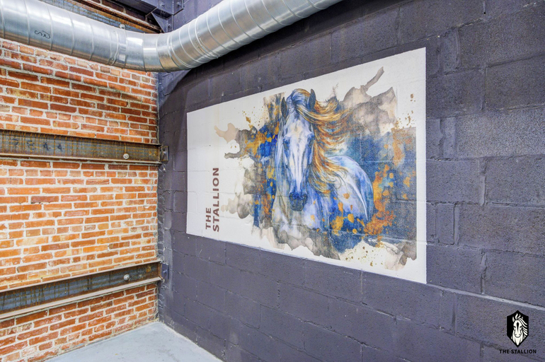 Public Area 4, The Stallion, Shelby