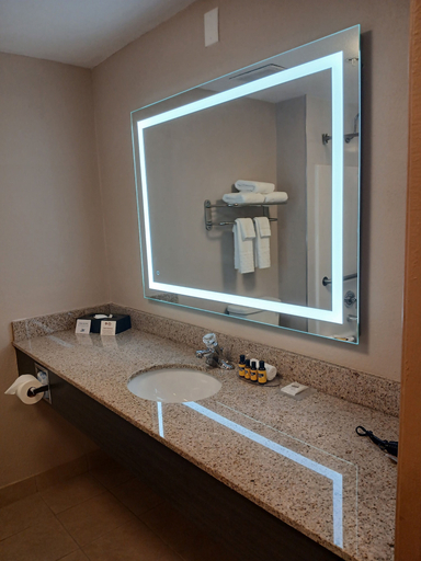 Bathroom 4, Comfort Inn & Suites Bradenton North I-75, Manatee