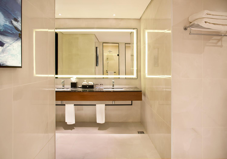 Bathroom 5, Asiana Grand Hotel, Dubai