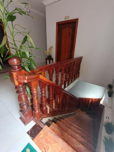 Others 4, Orchid 101, Kampot