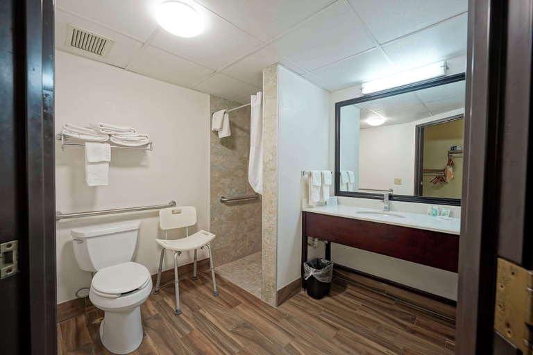Bathroom 4, Quality Inn & Suites Harrington - Milford, Kent