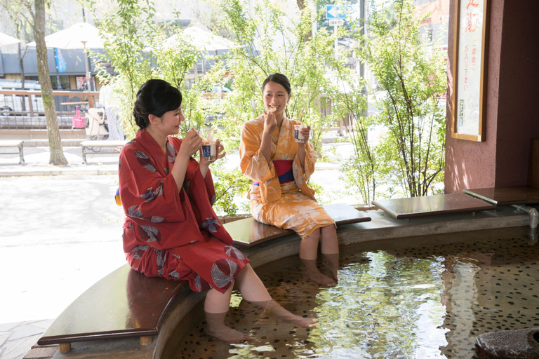 Sport & Beauty 2, Gero Onsen Suimeikan, Gero
