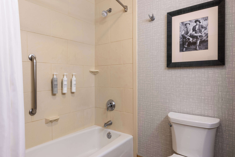 Bathroom 4, Hampton Inn & Suites by Hilton Dodge City, Ford