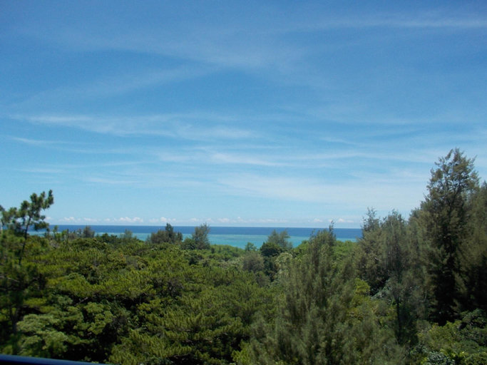 Scenery 14
