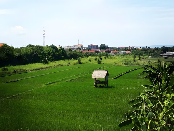 scenery