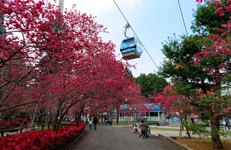 Nearby Landmark 2, Sun Moon Lake Rainbow SUP Hostel, Nantou
