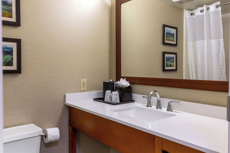 Bathroom 4, Comfort Inn University Durham - Chapel Hill, Durham