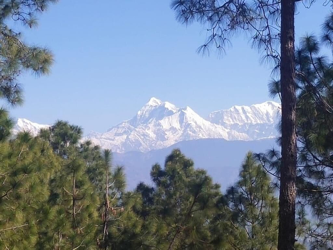 Others 3, White Hills Cottage, Almora
