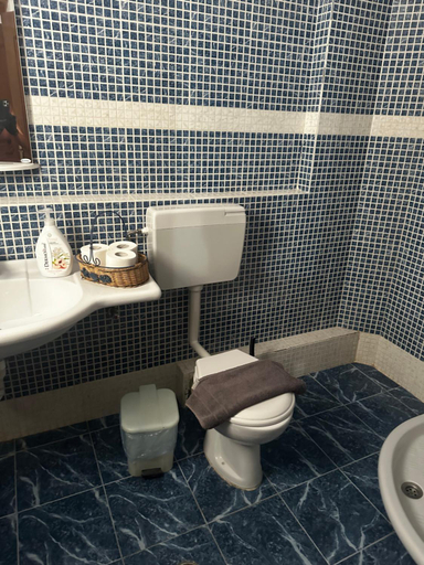Bathroom 3, Pansion Angela, Thessaly