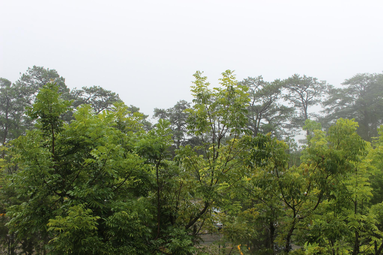 Scenery 4