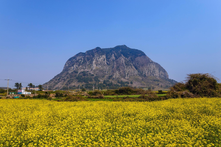 Nearby Landmark 3, J Cube Pension, Seogwipo