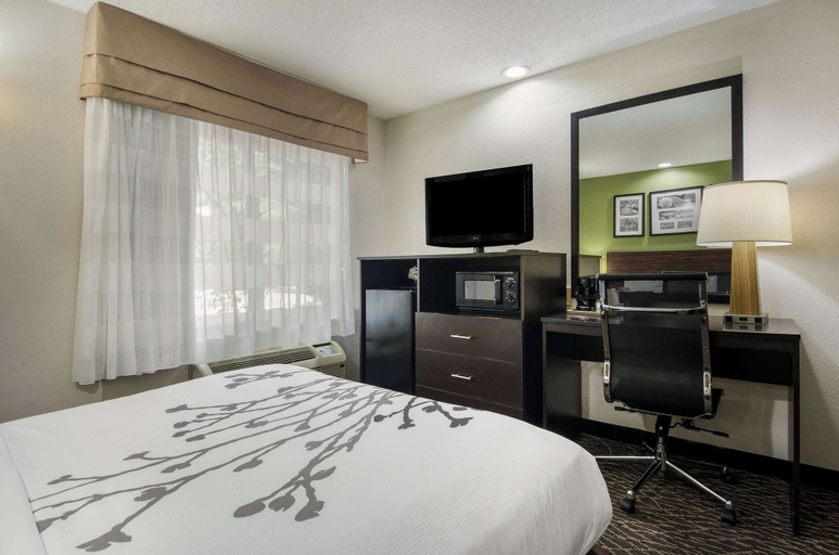 Bedroom 3, Sleep Inn Hanes Mall, Forsyth