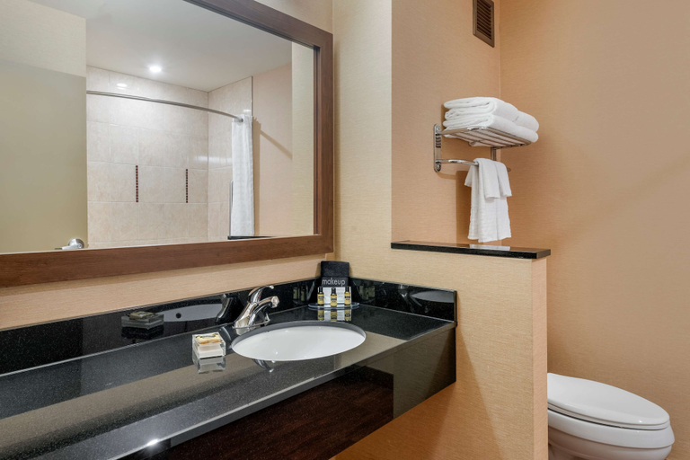 Bathroom 4, Best Western Plus Bathurst Hotel & Suites, Gloucester