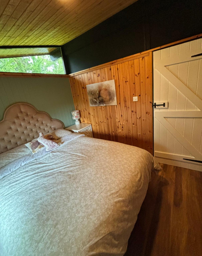 Bedroom 2, 11 Tan-y-coed Woodland Lodge, Carmarthenshire