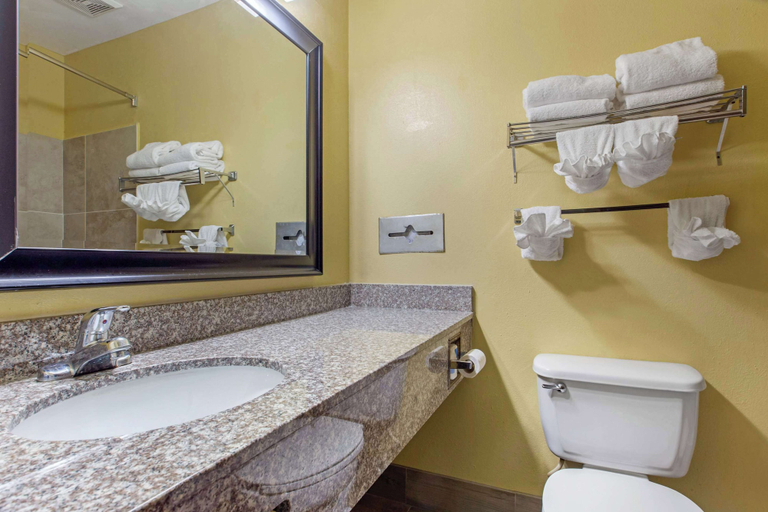 Bathroom 3, Quality Inn Williamston, Martin