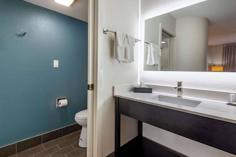 Bathroom 4, Sleep Inn - Salisbury I-85, Rowan