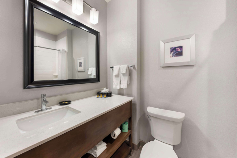 Bathroom 4, Best Western Plus Buda Austin Inn & Suites, Hays