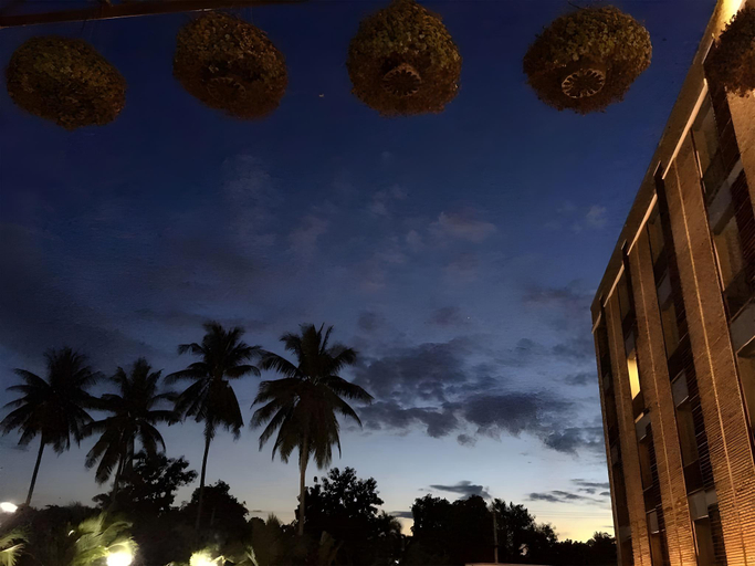 Exterior & Views 3, The Coconut Hotel, Muang Lampang