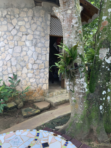 Exterior & Views 2, Yoga Dreams Negril