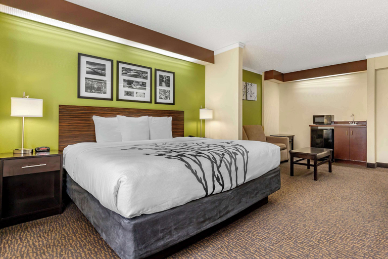 Bedroom 3, Sleep Inn Matthews - Charlotte, Mecklenburg
