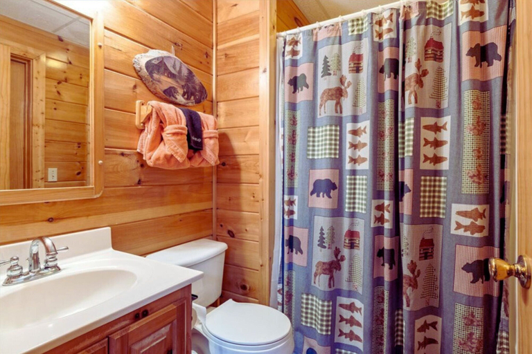 Room 4, Backwoods Secluded Cabin Escape for 8 Guests, Sevier