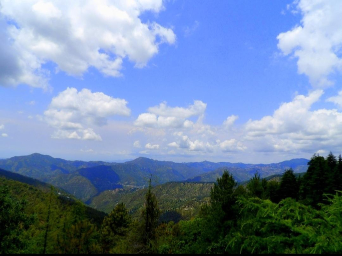 Others 5, The Hideaway Chail, Shimla