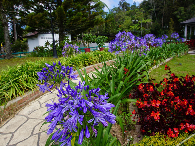 Others 5, BIG RED HOTEL, Cameron Highlands