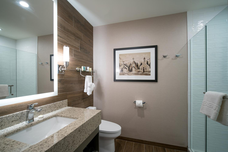 Bathroom 5, The Malcolm Hotel, Division No. 15