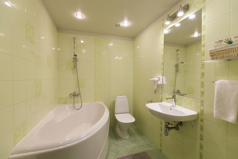 Bathroom 3, Spa Hotel Ezeri, Riga