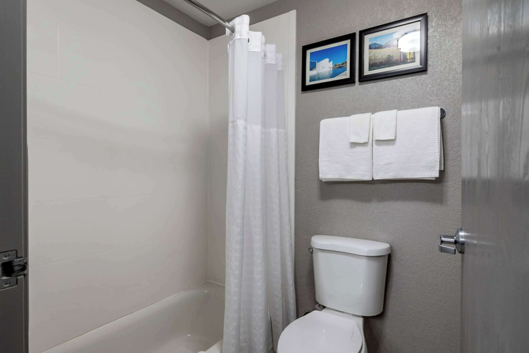 Bathroom 4, Comfort Inn & Suites Emporia, Lyon