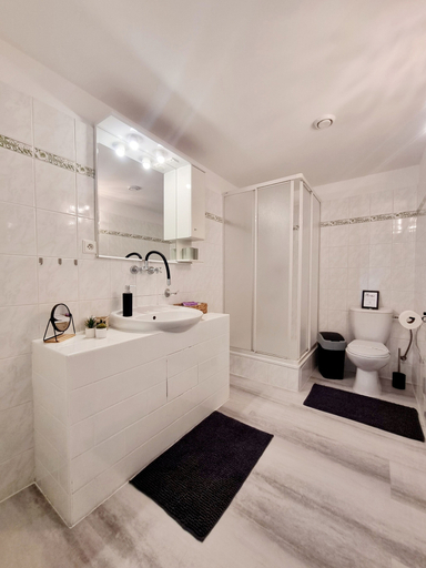Bathroom 5, Penzion Orion, Ústí nad Labem
