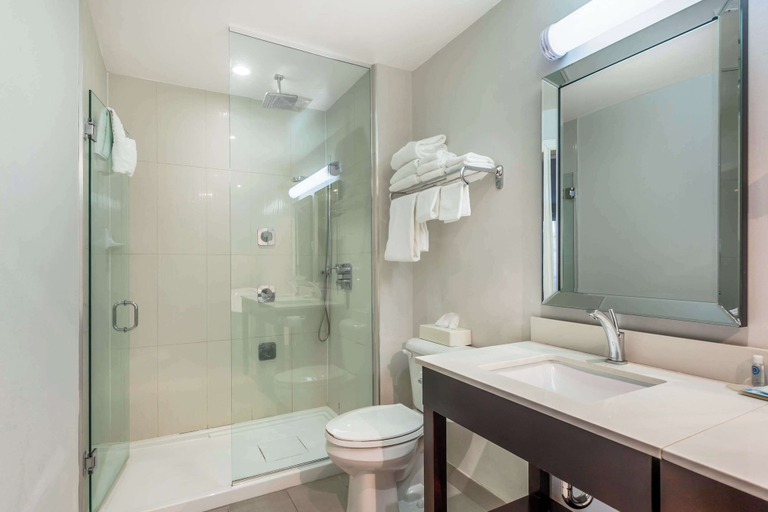 Bathroom 4, Comfort Inn Burlington, Halton