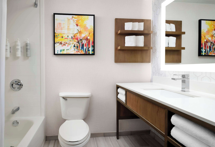 Bathroom 4, Hilton Garden Inn Detroit Downtown, Wayne