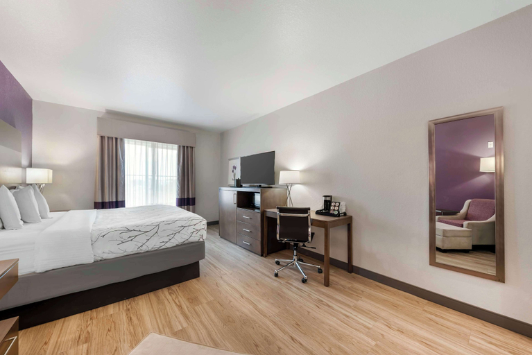 Bedroom 3, Best Western Plus Buda Austin Inn & Suites, Hays