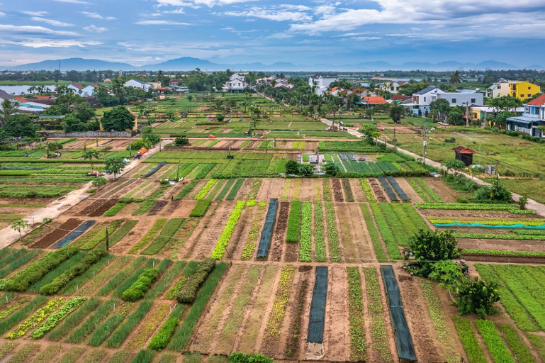 Nearby Landmark 4, Cam An Houses, Da Nang