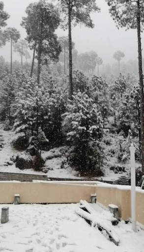 Others 4, Navid's Holiday Resort & Hotel, Murree Apartment 3, Rawalpindi