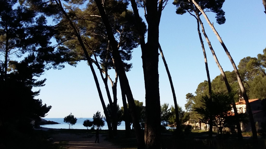 Others 5, Studio del Sol, Var