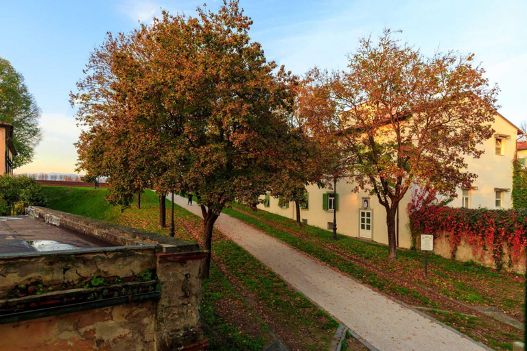 Exterior & Views, Casa Kathy in Lucca With 2 Bedrooms and 1 Bathrooms, Lucca