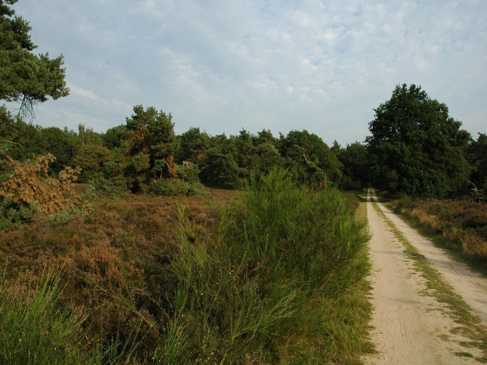 Others 4, Bamboo Holiday Home in Veluwe, Barneveld
