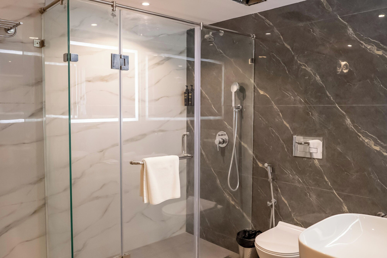 Bathroom 5, ASTER GRAND BY ZENQ SAKET, Delhi