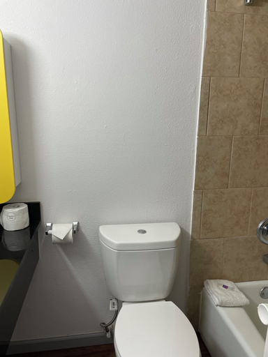 Bathroom 3, Contessa Inn, Gregg