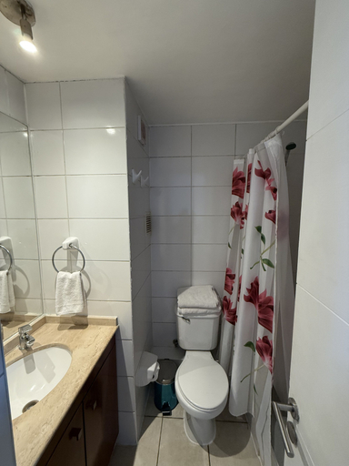 Bathroom 5, VR Suite, Santiago